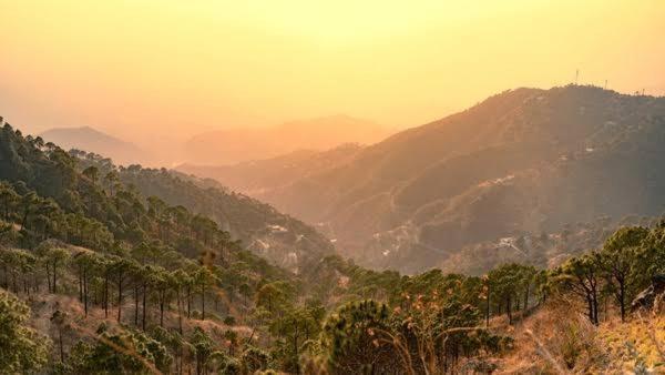The Heritage Home Kasauli I Pine View Serviced Villa I Best Seller I Vacations I Family Events I Sky Bonfire I Kasauli By Exotic Stays 외부 사진